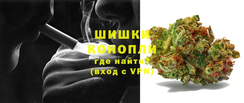 цена наркотик  Губаха  Бошки Шишки OG Kush 